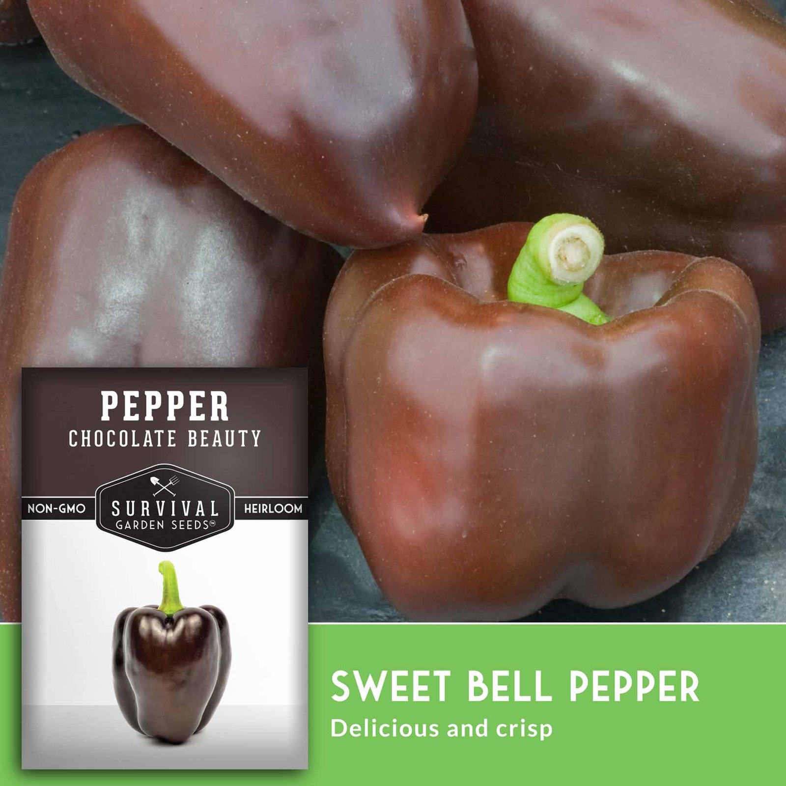 SGSPepperChocolateBeauty_4.jpg