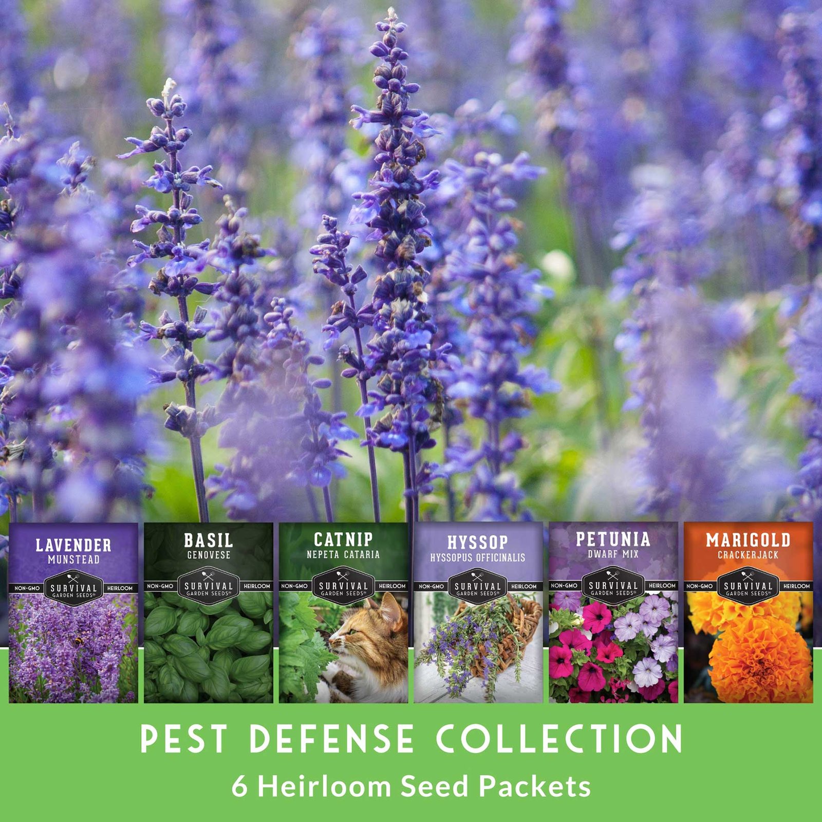 SGSPestDefenseCollection-3.jpg