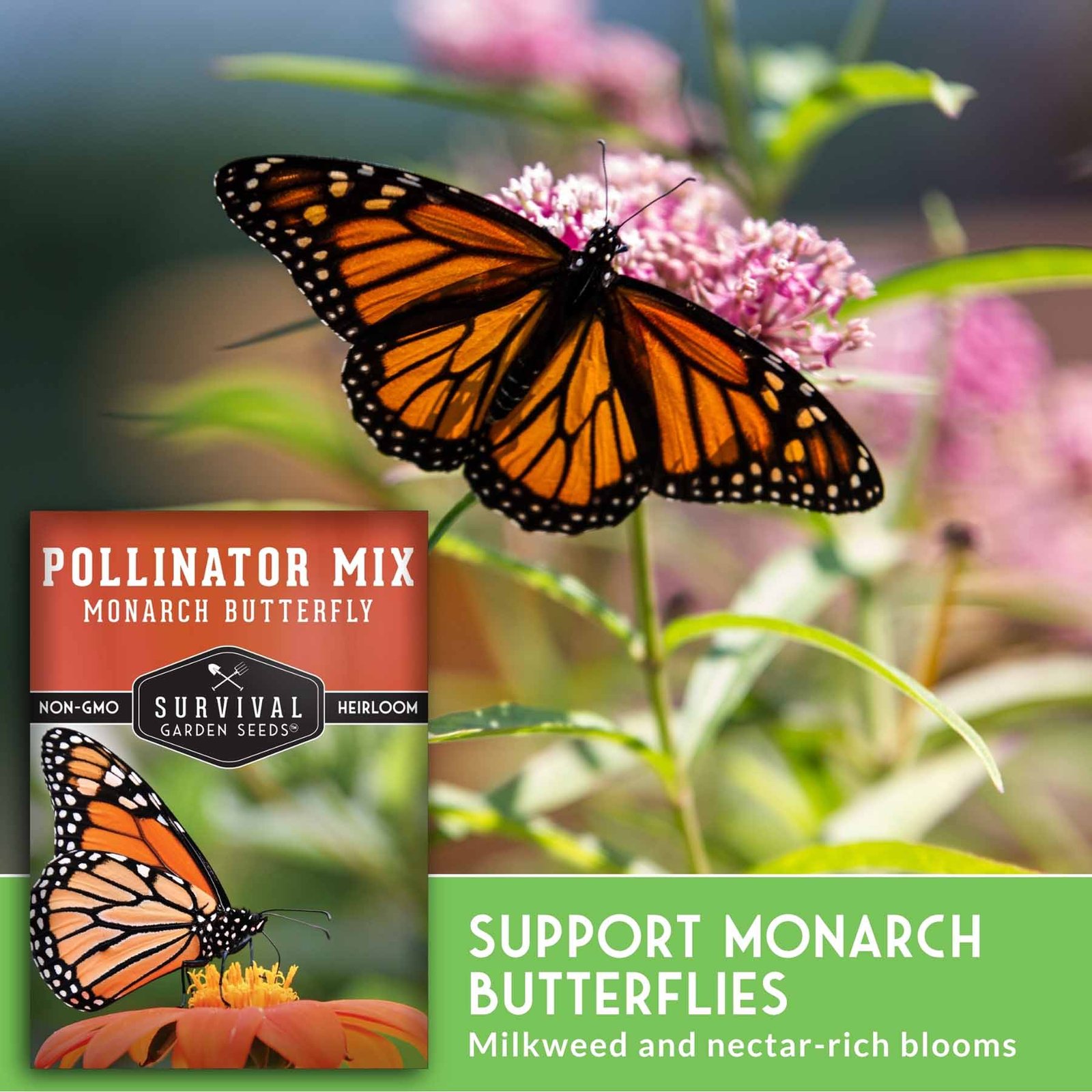 SGSPollinatorMixButterfly_4.jpg