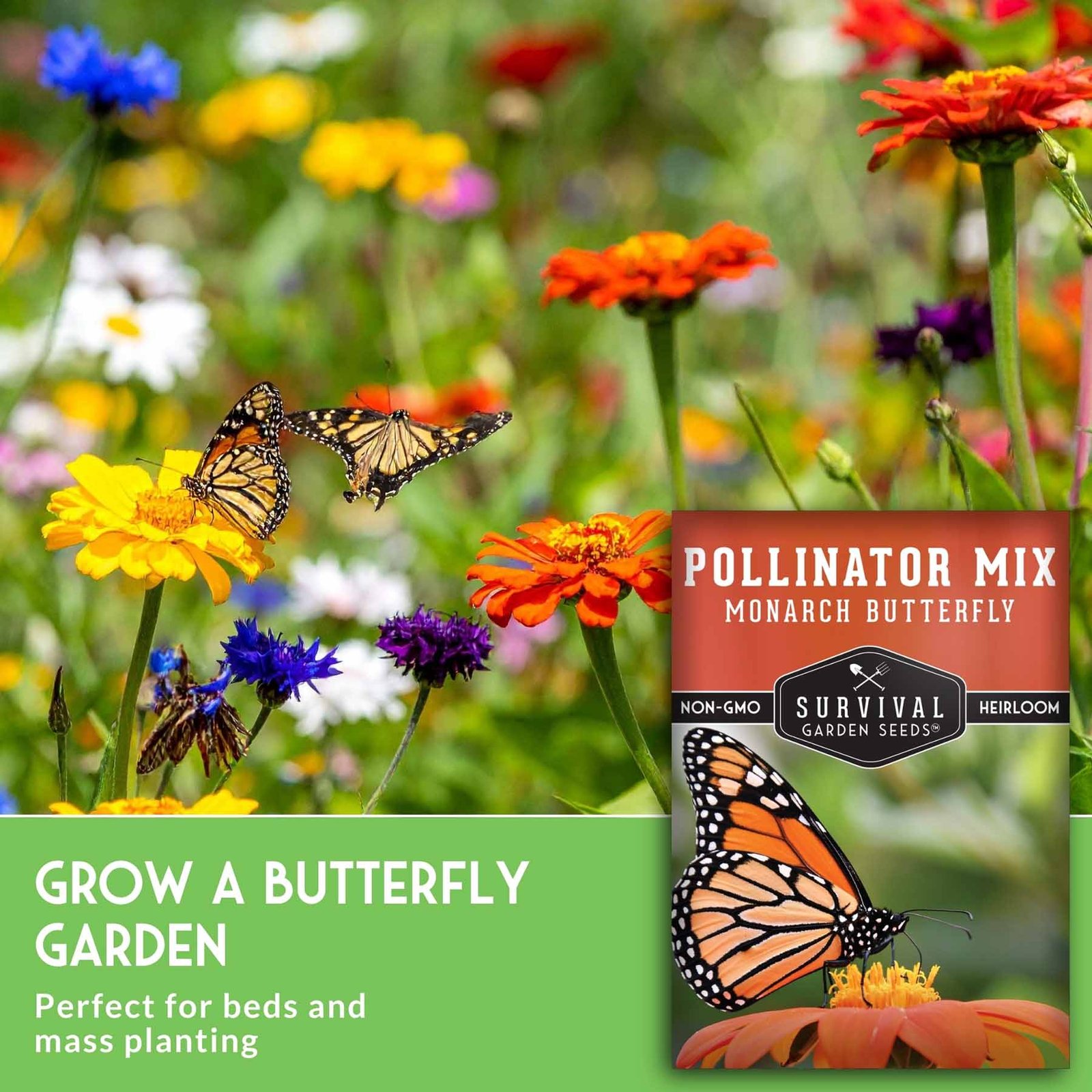 SGSPollinatorMixButterfly_5.jpg