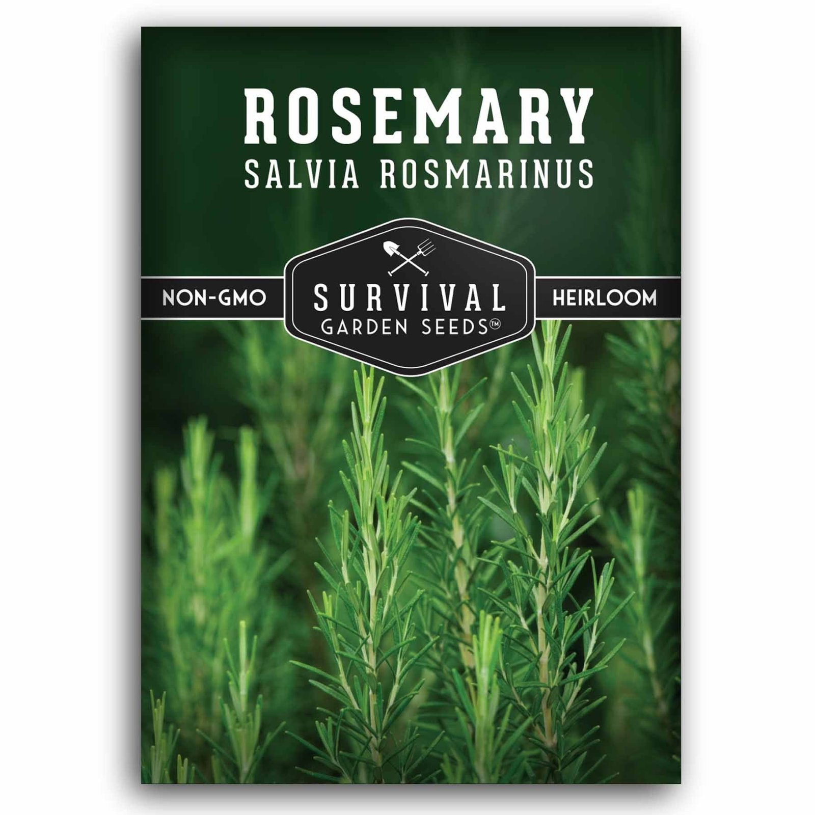 SGSRosemary_1.1.jpg
