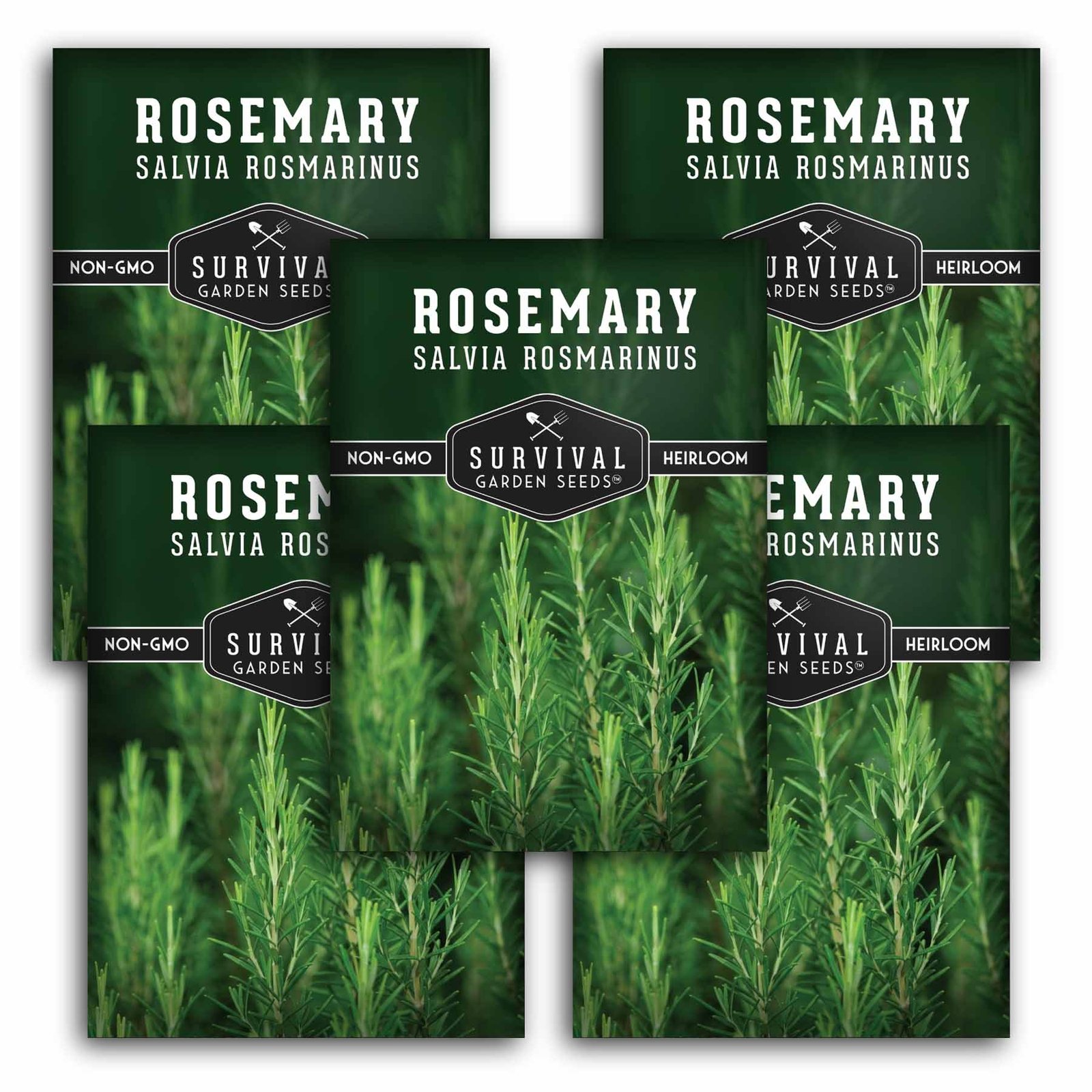 SGSRosemary_1.5.jpg