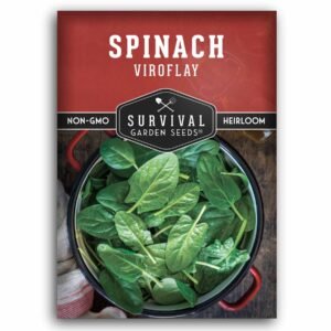 Viroflay Spinach Seeds – Heirloom Non-GMO French Variety with Giant Tender Leaves for Spring, Fall & Winter Gardens