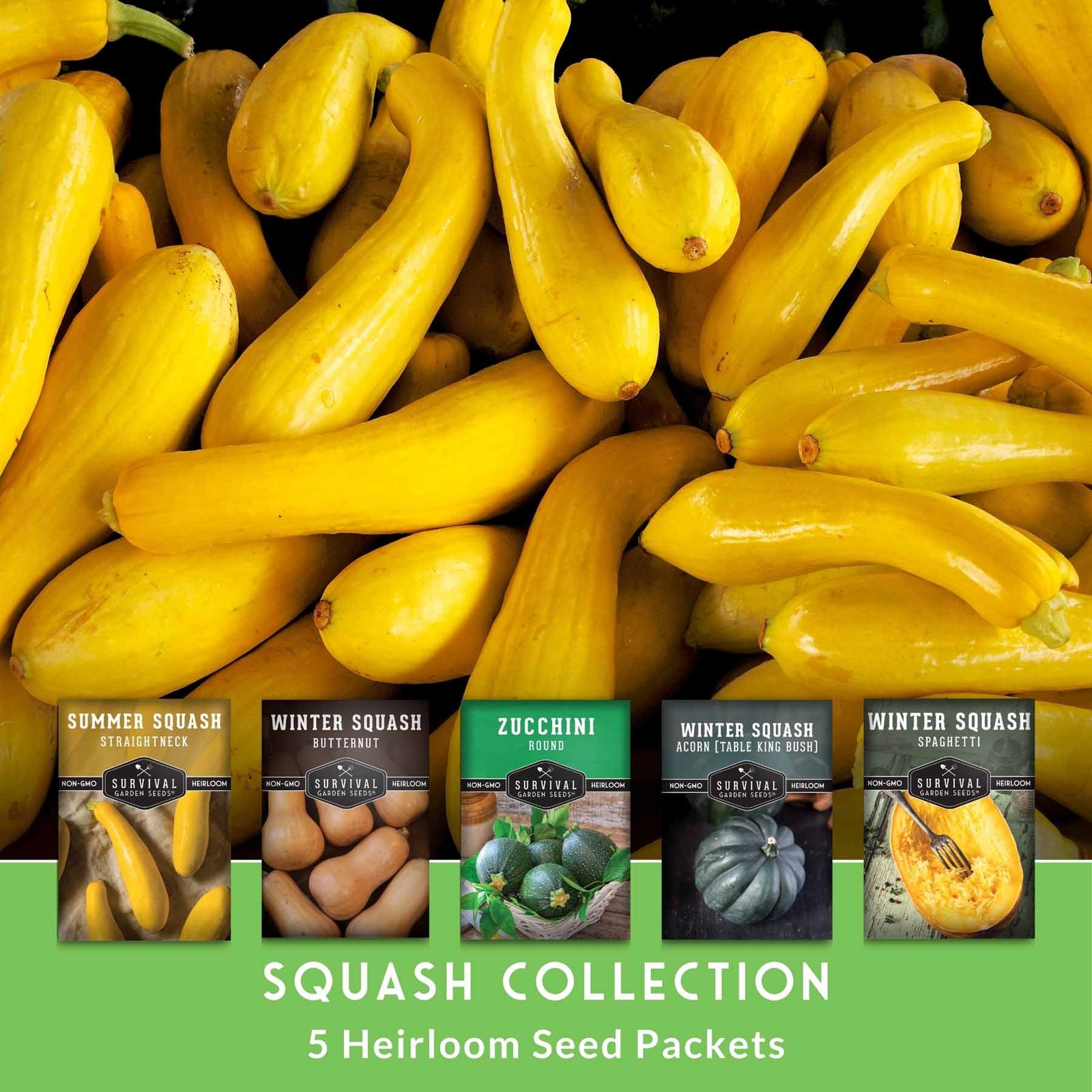 SGSSquashCollection3.jpg
