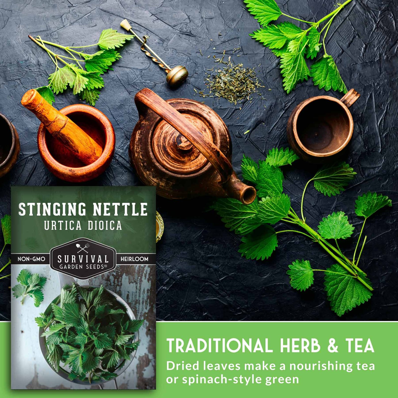 SGSStingingNettle_4.jpg