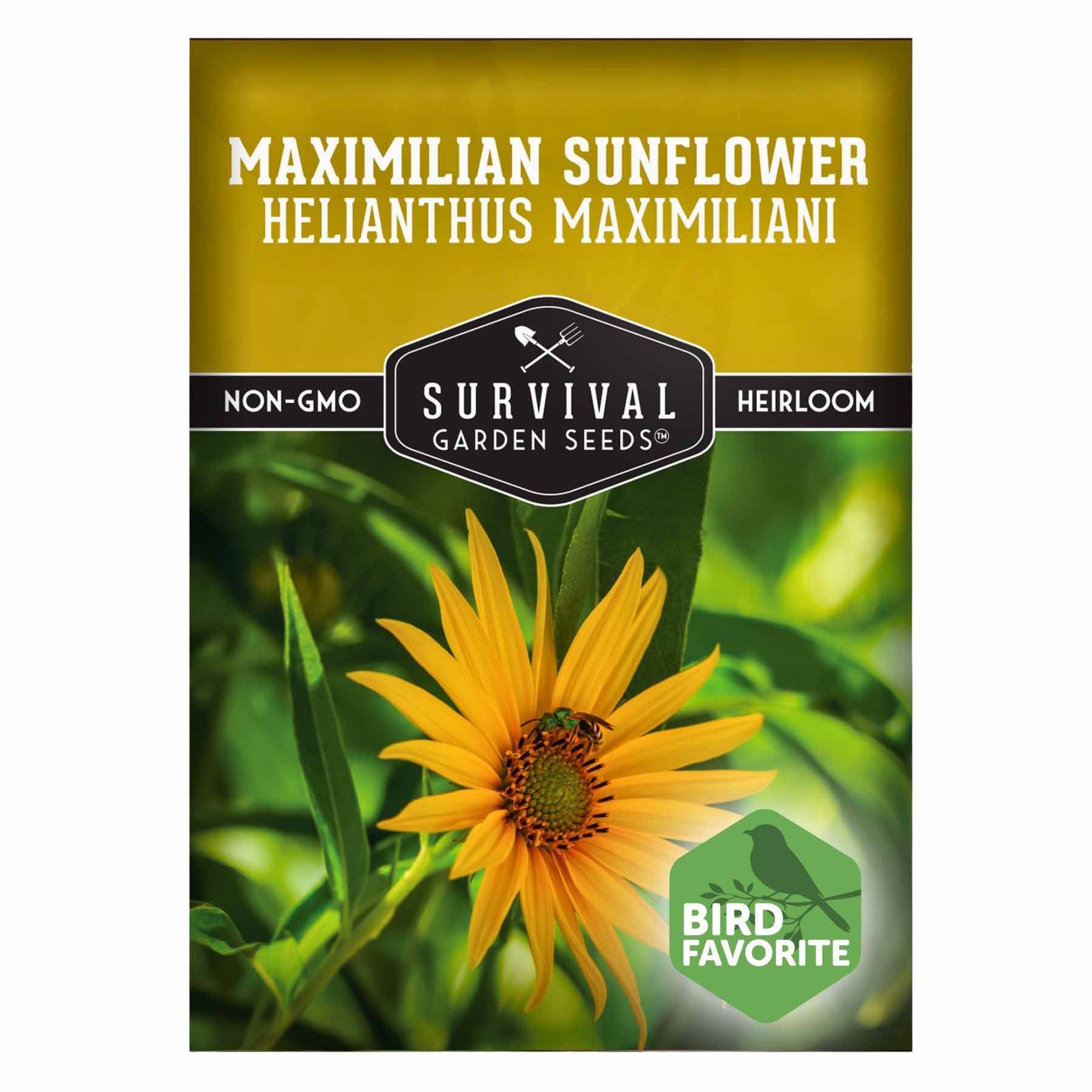 SGSSunflowerMaximilian1.1.jpg