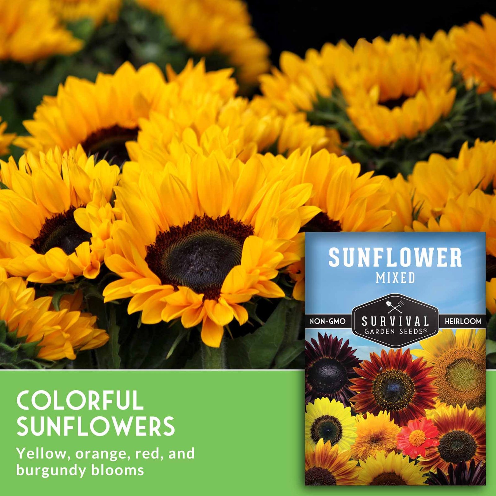 SGSSunflowerMixed_3.jpg