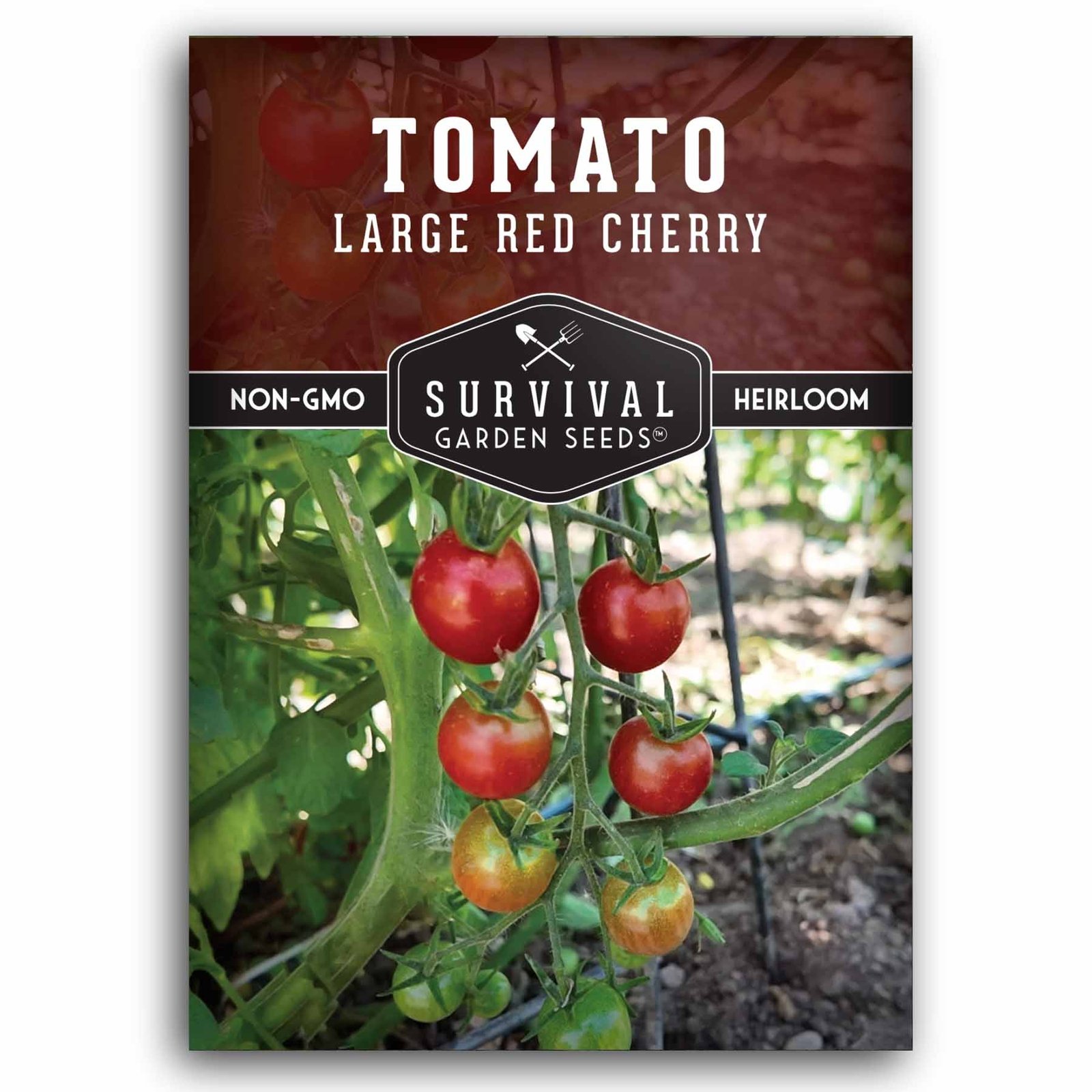 SGSTomatoRedCherryLarge1.1.jpg