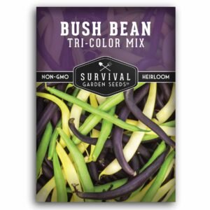 Tri-Color Bush Bean Seeds – Blend of Green, Yellow & Purple Beans for High-Yield, Kid-Friendly Gardens