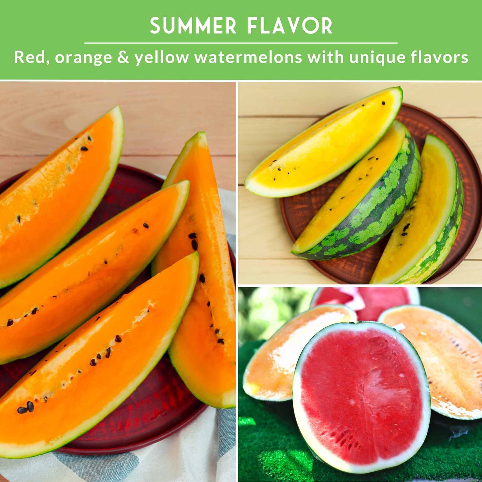 SGSTriColorWatermelonCollection_4.jpg