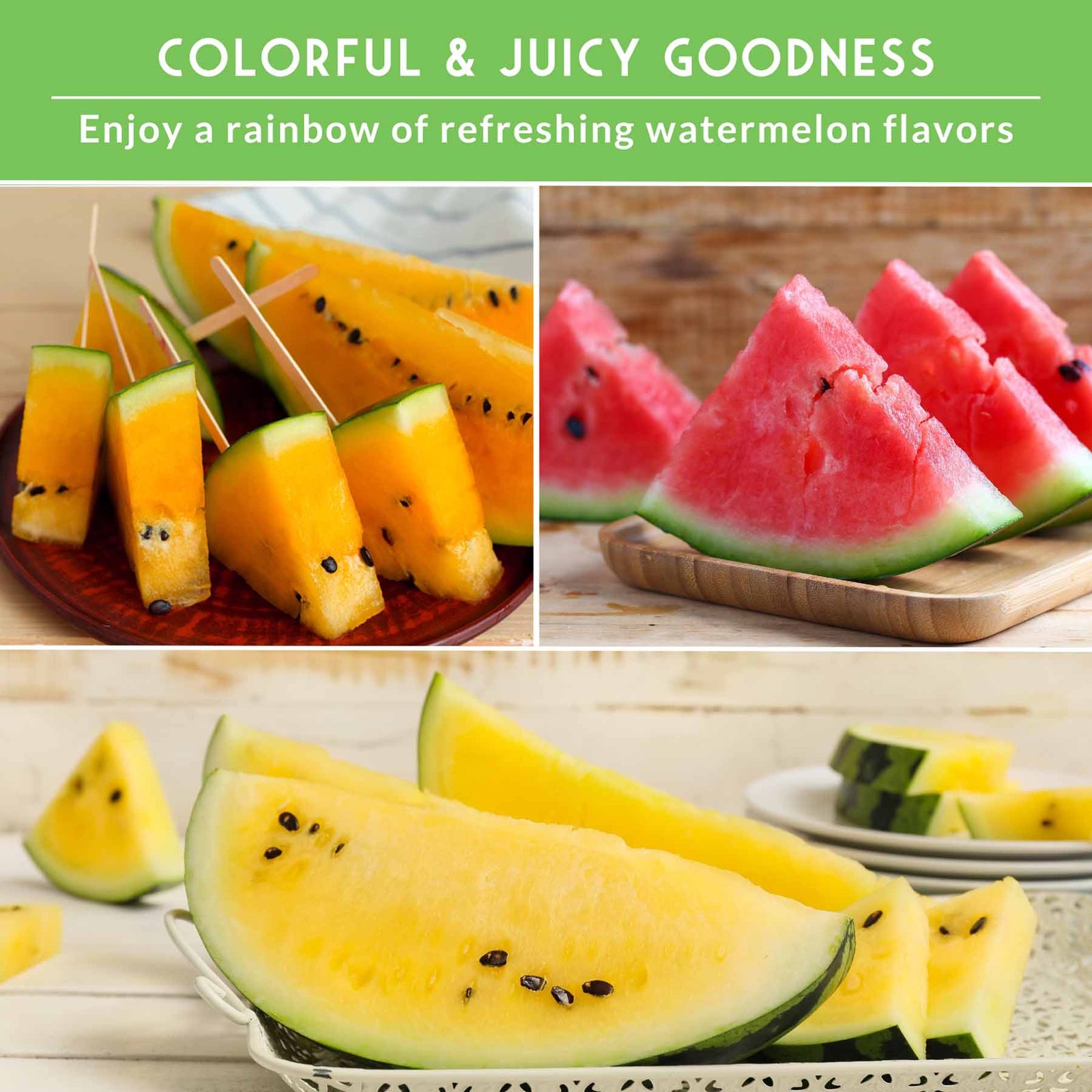 SGSTriColorWatermelonCollection_4_2.jpg
