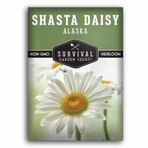 Shasta Daisy Seeds – Edible Perennial Flowers for Pollinator & Cottage Gardens