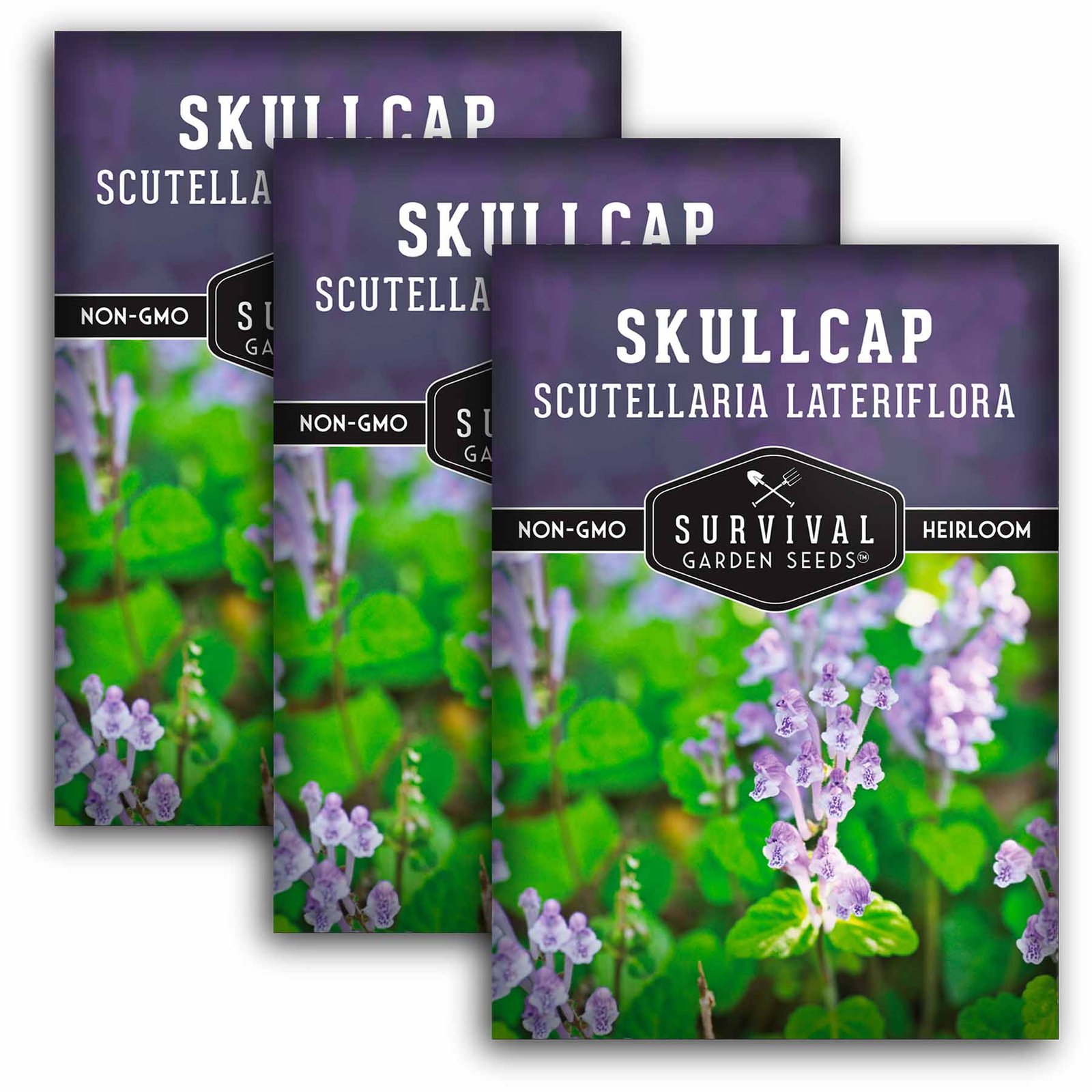 Skullcap-01.3.jpg