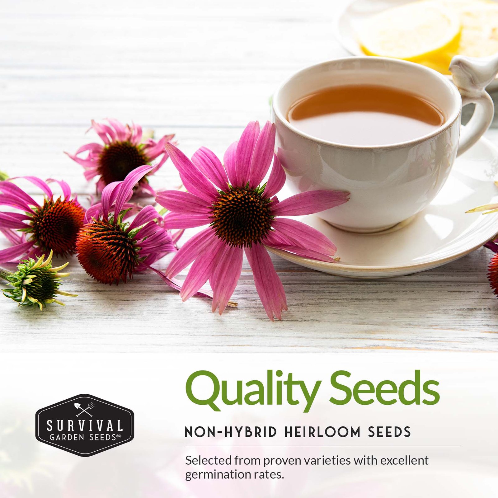 Small-Flower-Collection-03.jpg