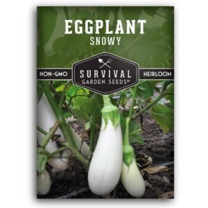 Snowy Eggplant Seeds – Firm, Sweet White Eggplants for Containers or Garden Beds