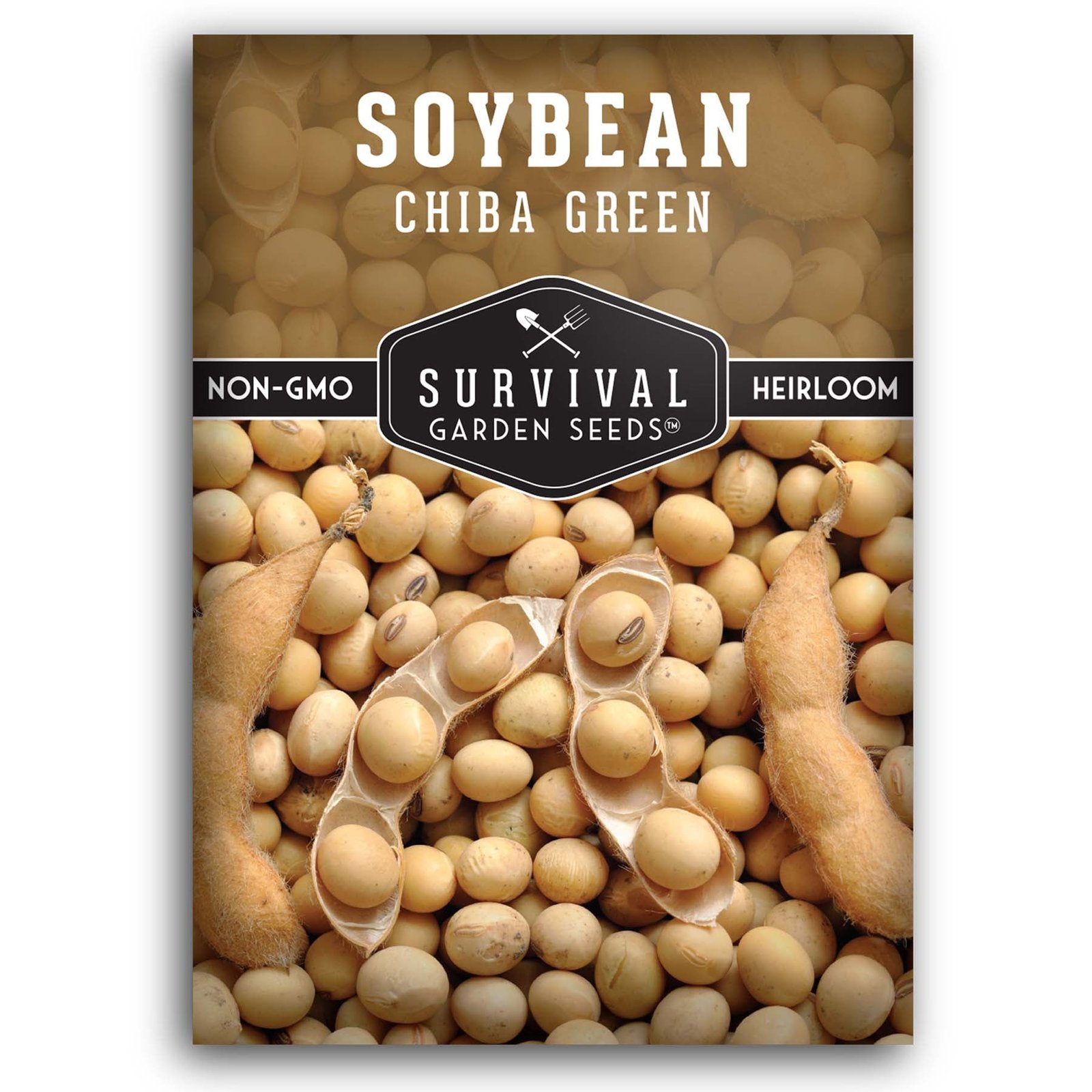 Soybean-Chiba-Green-01.jpg