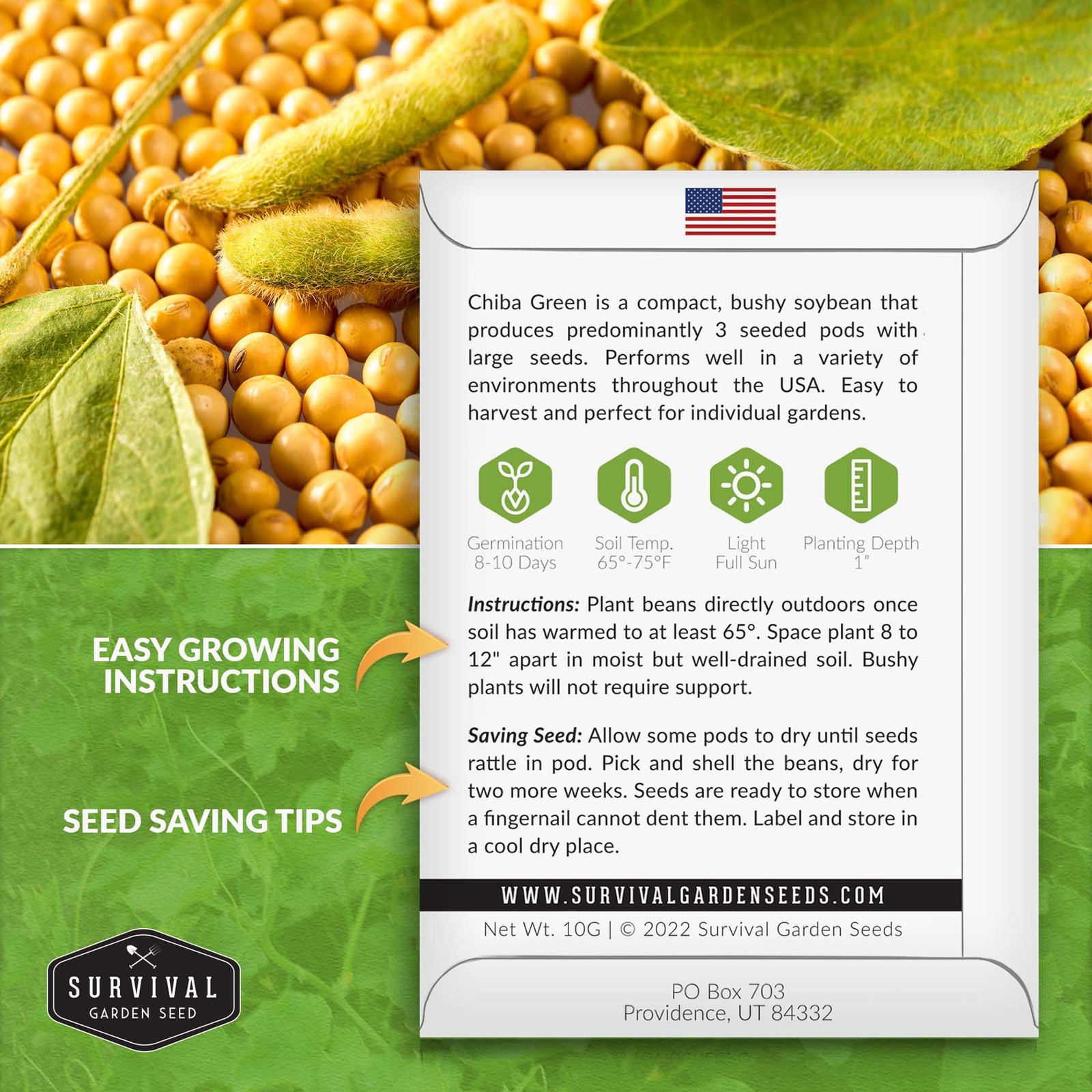 Soybean-Chiba-Green-02.jpg