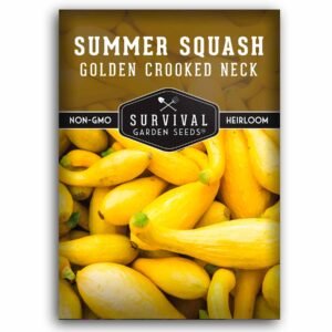 Golden Crookneck Summer Squash Seeds – High-Yield Yellow Bush Squash