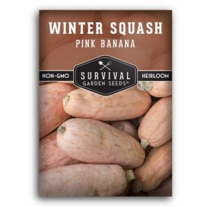 Pink Banana Winter Squash Seeds – Large Sweet-Fleshed Squash for Long-Term Storage