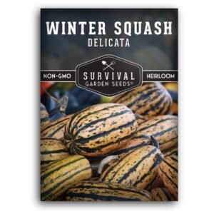 Delicata Winter Squash Seeds – Heirloom Sweet-Fleshed Squash with Excellent Storage