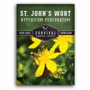 St. John’s Wort Seeds – Hardy Perennial Herbal Flower with Bright Yellow Blooms