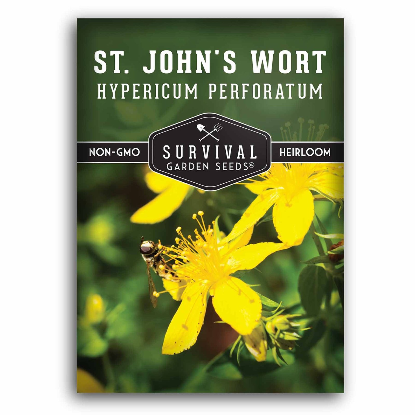 St-John_s-Wort-01.1.jpg