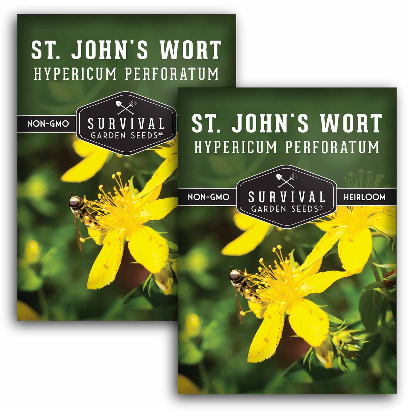 St-John_s-Wort-01.2.jpg