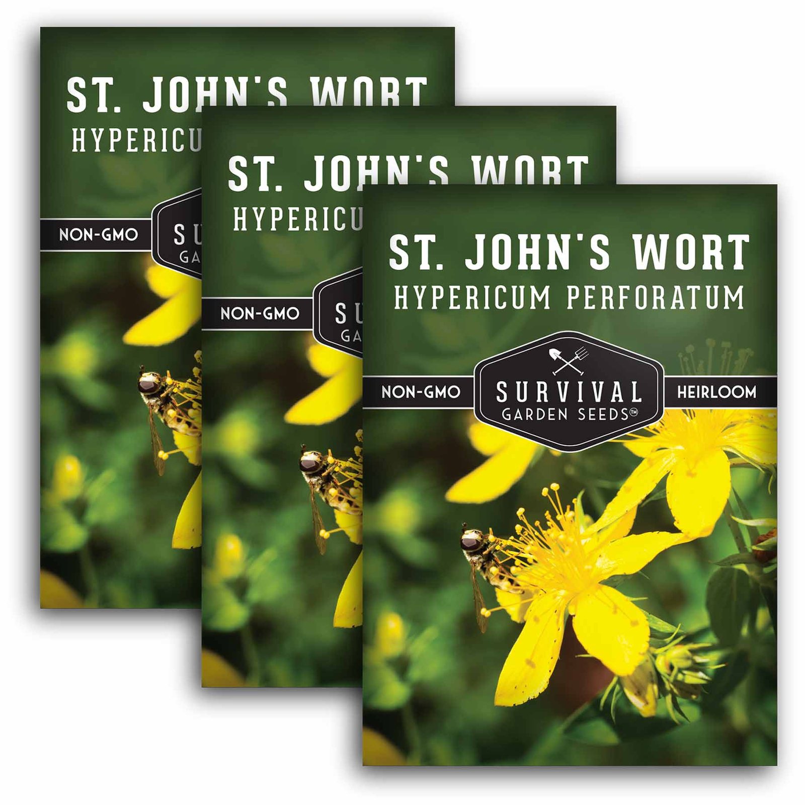 St-John_s-Wort-01.3.jpg