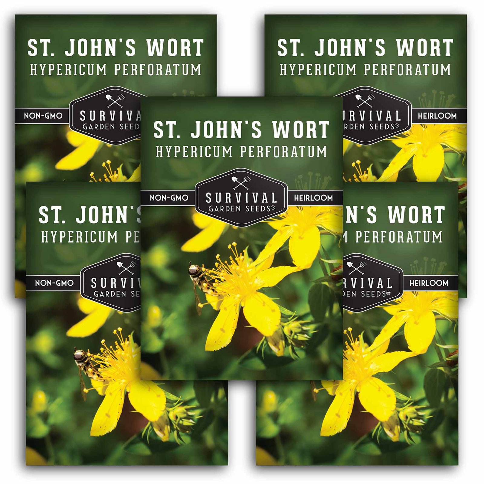 St-John_s-Wort-01.5.jpg