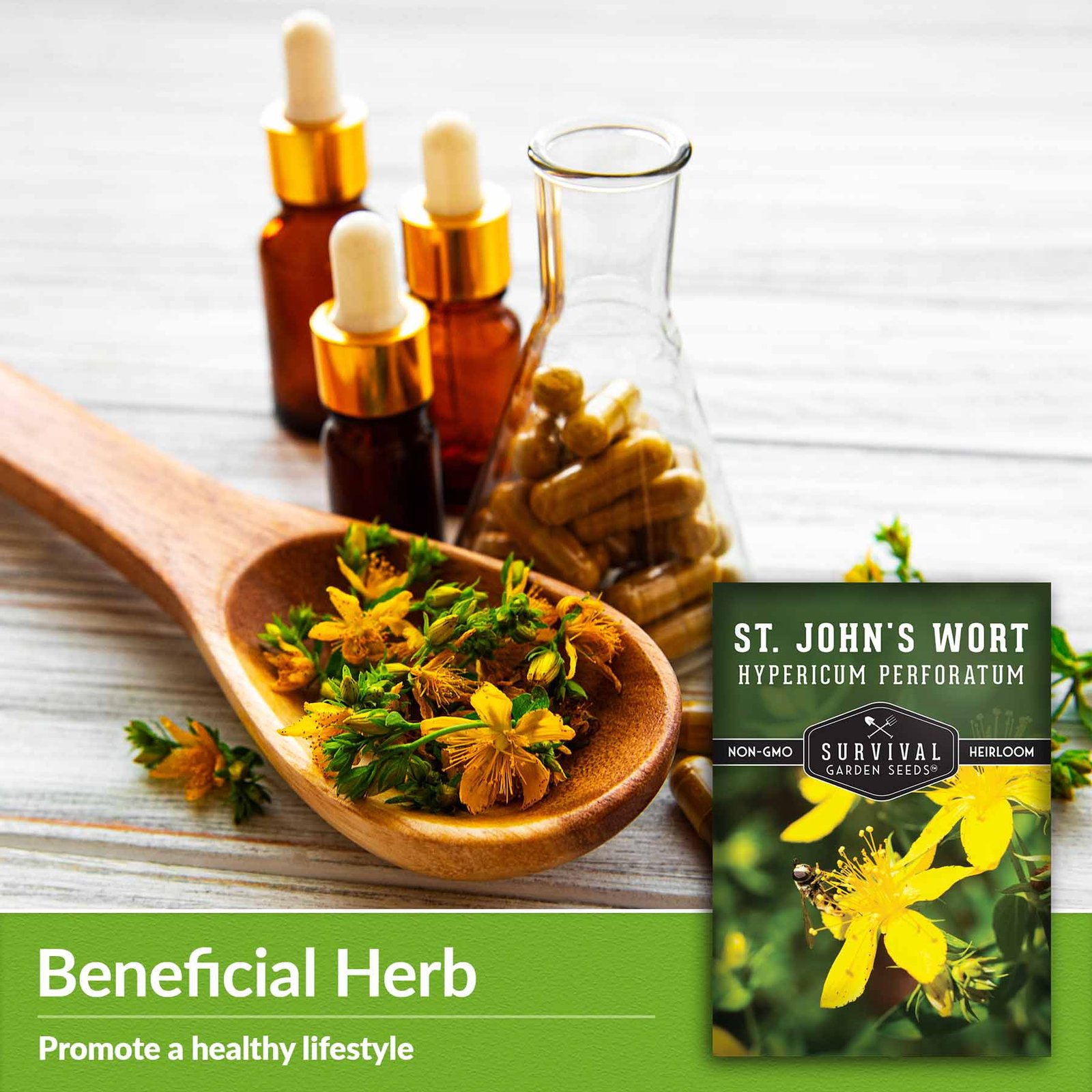 St-John_s-Wort-03.jpg