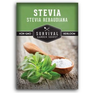 Stevia Seeds – Stevia rebaudiana Sweet Herb for Natural Sugar Alternative Growing