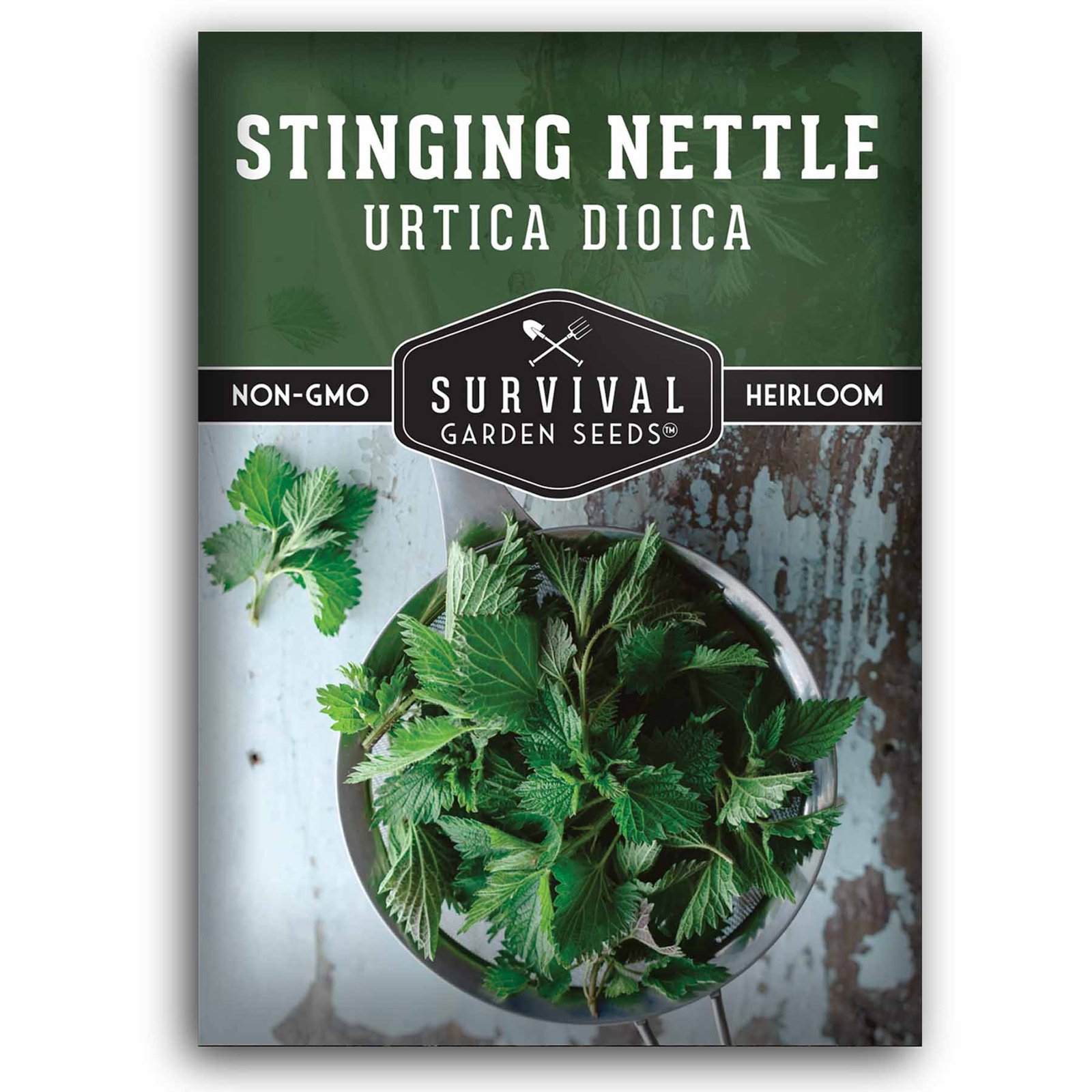Stinging-Nettle-01.1.jpg