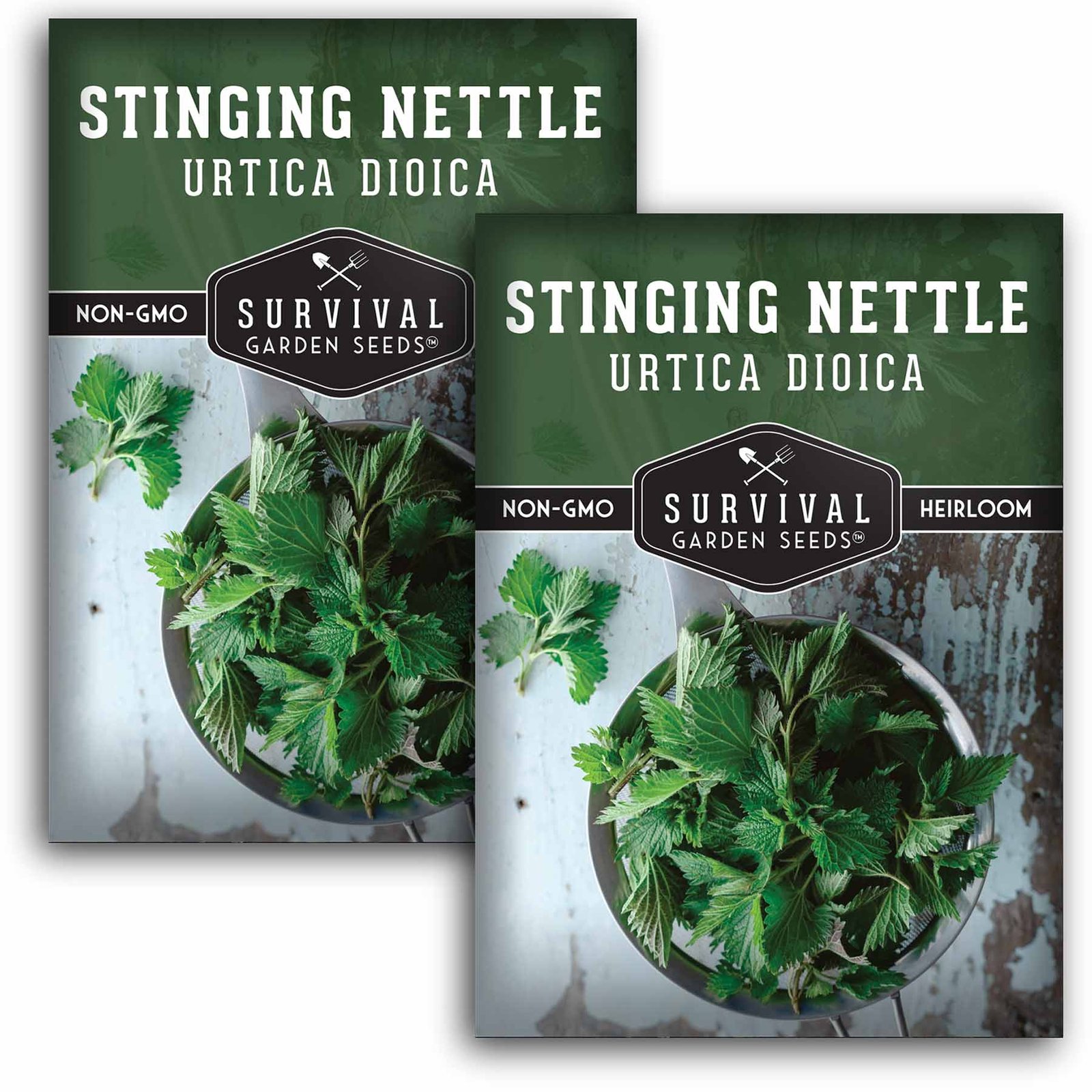 Stinging-Nettle-01.2.jpg