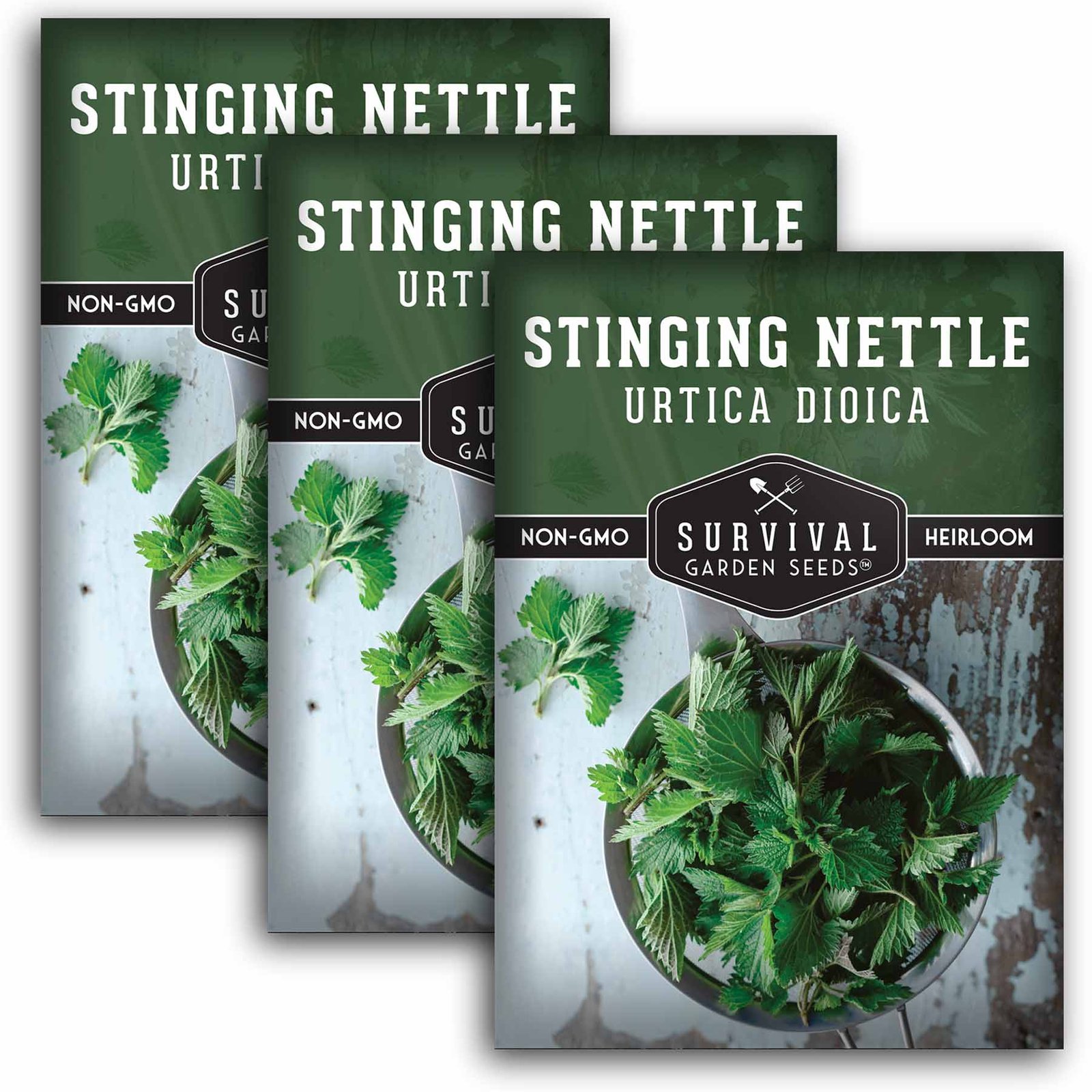 Stinging-Nettle-01.3.jpg