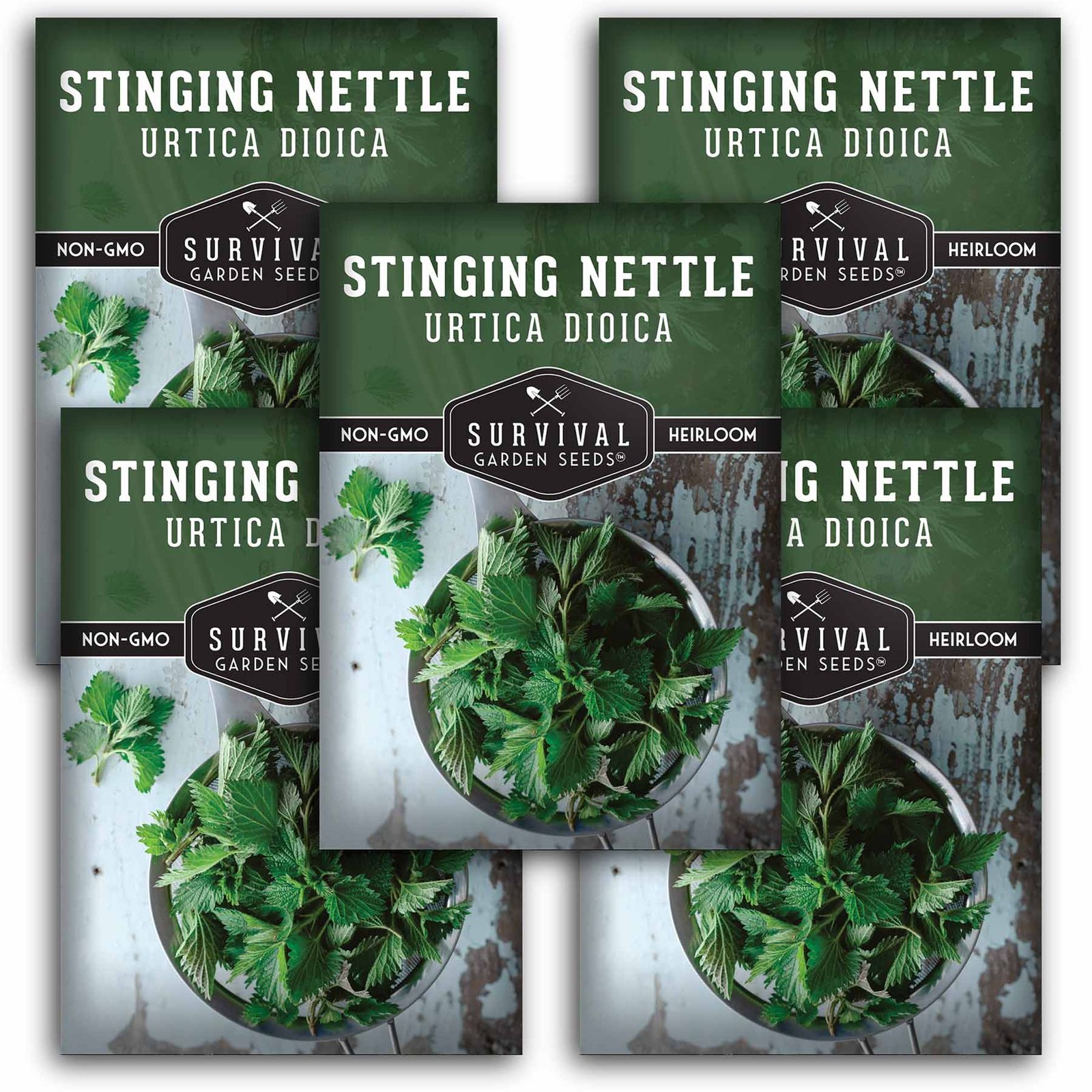 Stinging-Nettle-01.5.jpg