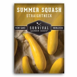 Straightneck Summer Squash Seeds – Early-Maturing Yellow Squash for Home Vegetable Gardens