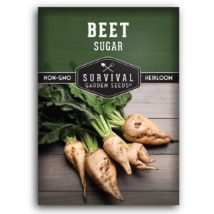 Sugar Beet Seeds – Heirloom Non-GMO Variety for Home Sugar Production, Livestock Feed & Soil Enrichment