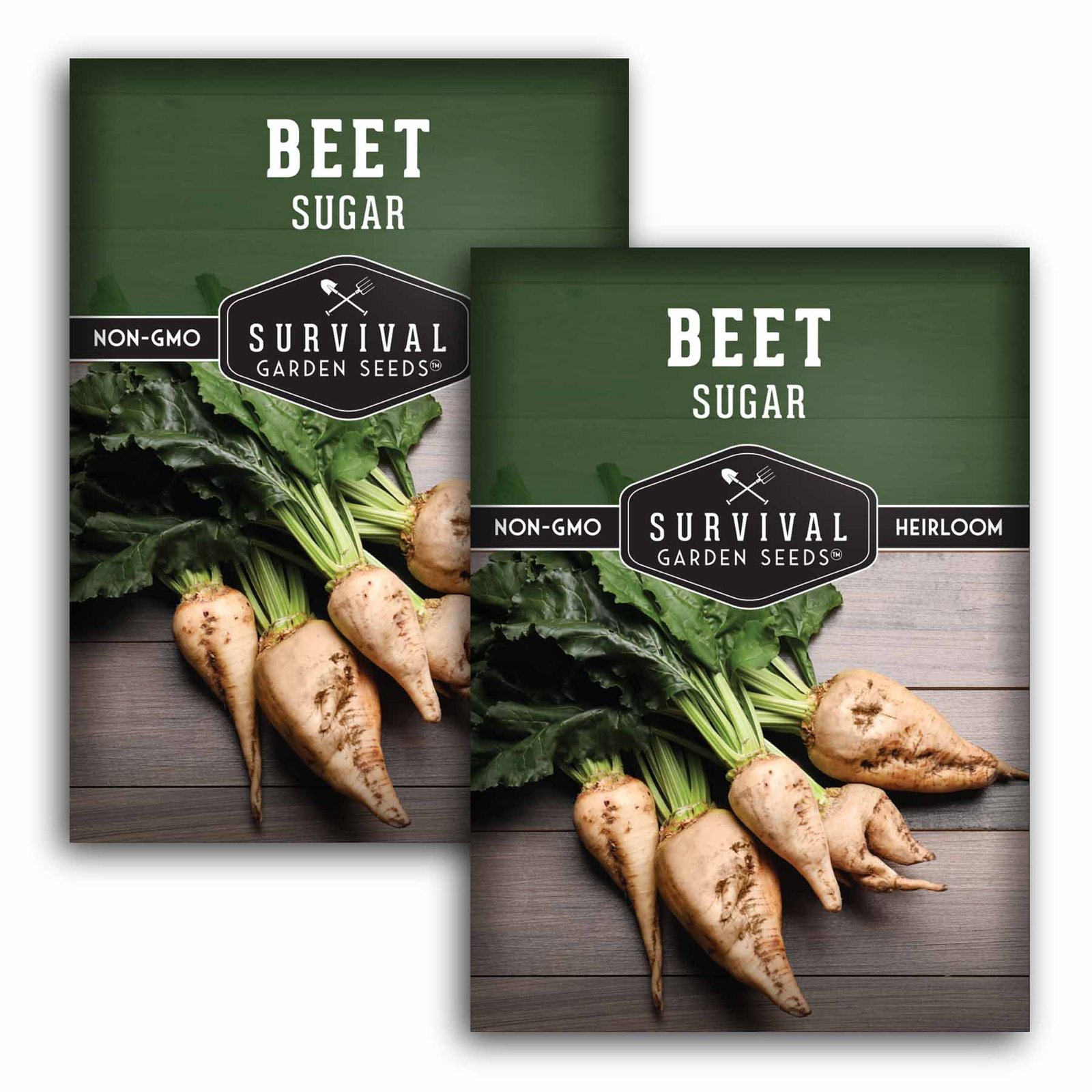 SugarBeet-1.2.jpg