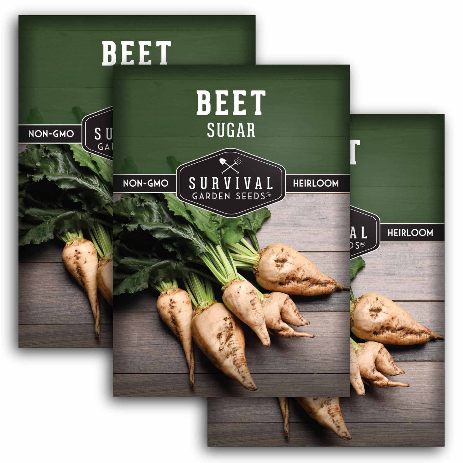 SugarBeet-1.3.jpg