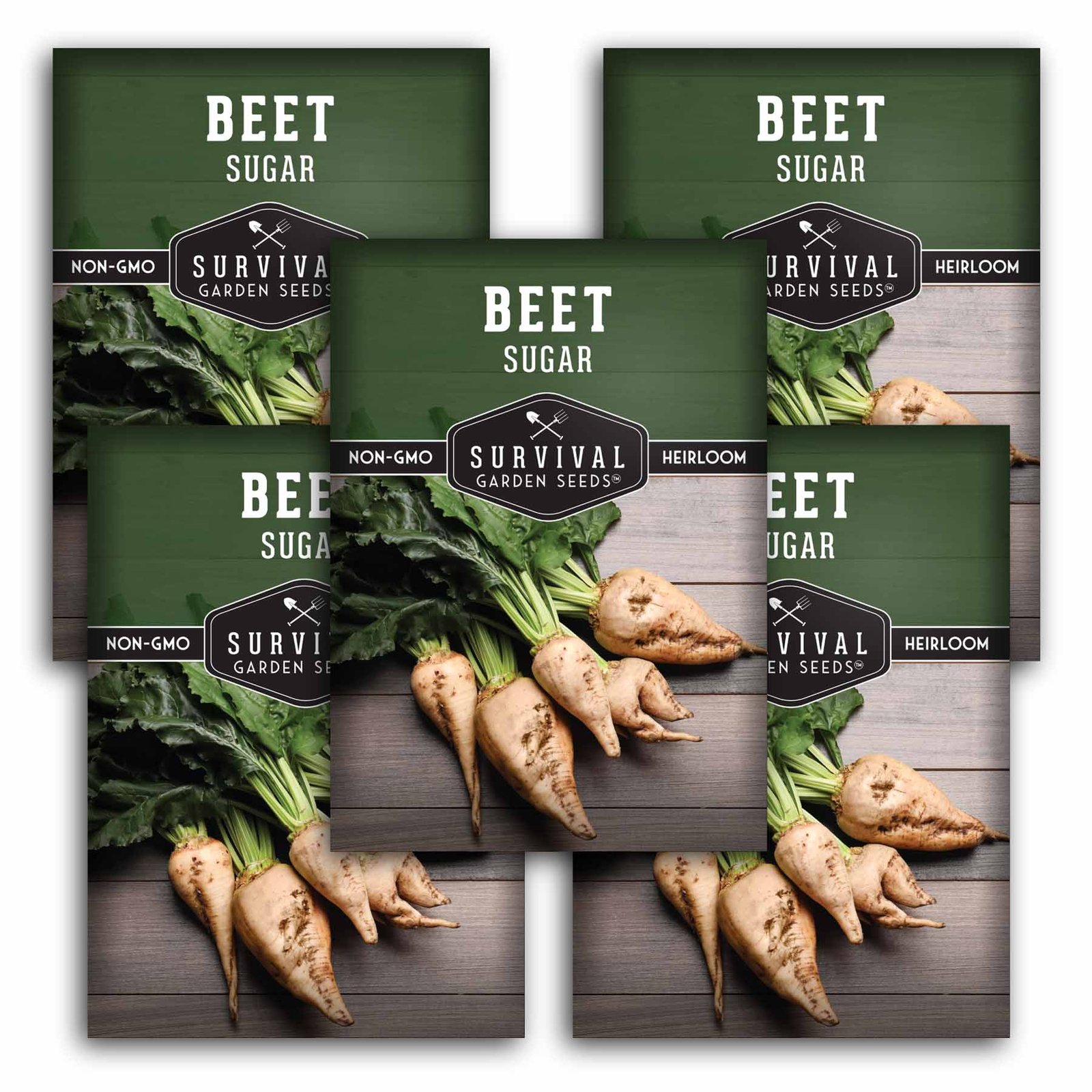 SugarBeet-1.5.jpg