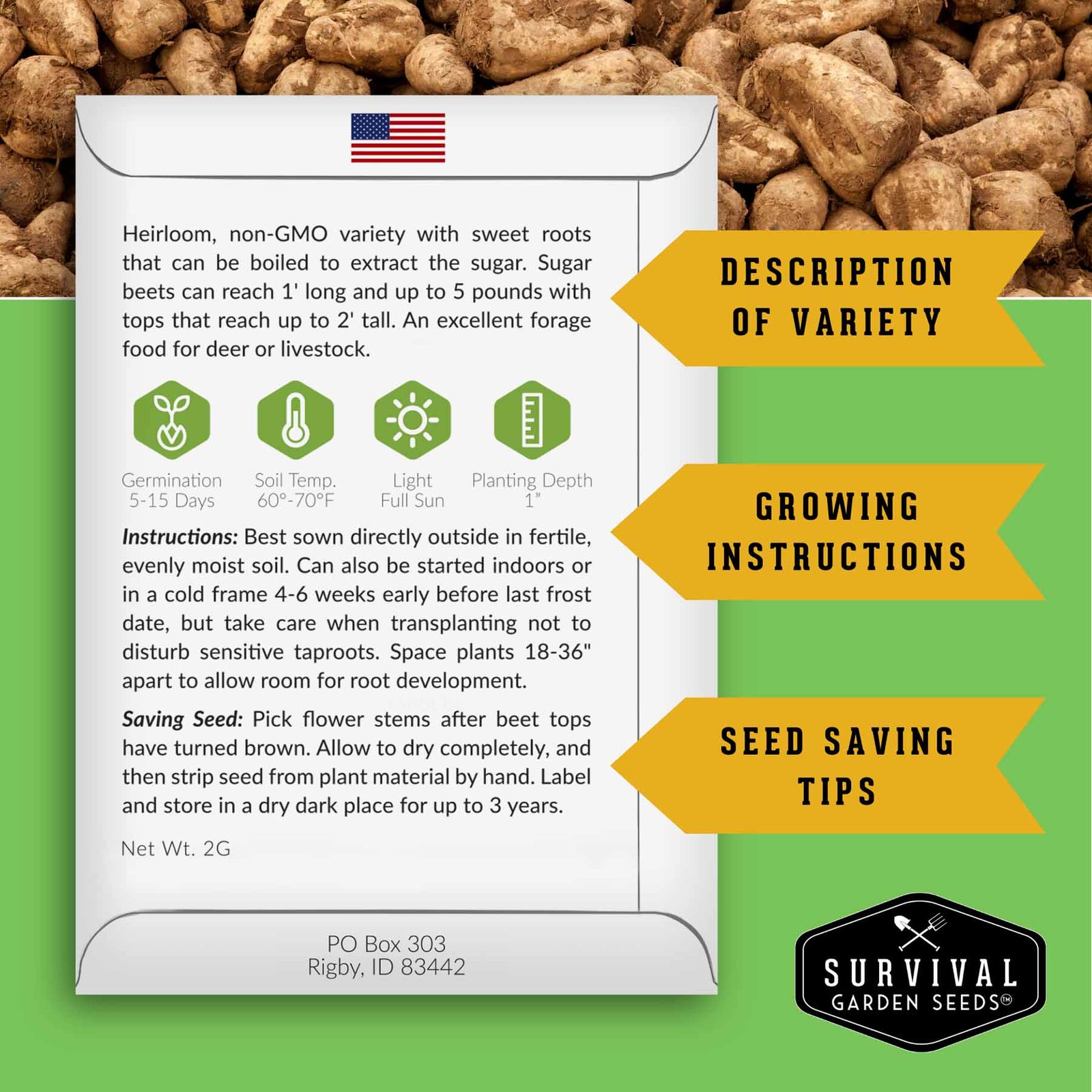 SugarBeet-2.jpg