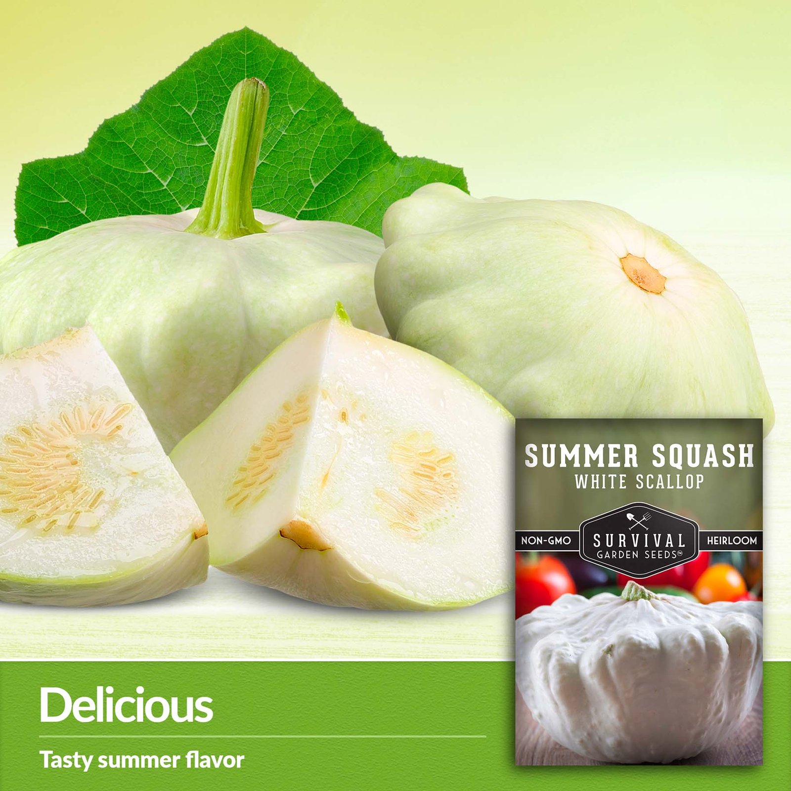Summer-Squash-White-Scallop-04.jpg