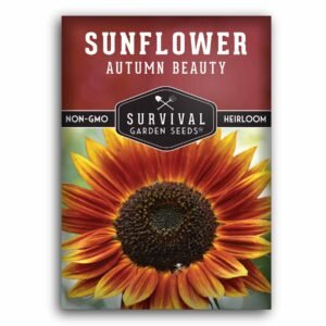 Autumn Beauty Sunflower Seeds – Heirloom Non-GMO Multi-Colored Variety for Pollinator Gardens, Bouquets & Summer-to-Fall Blooms