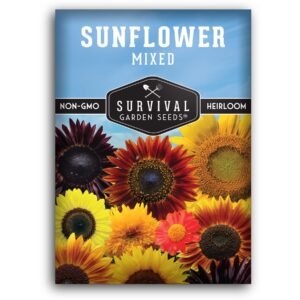 Sunflower Seeds Variety Pack – Heirloom Non-GMO Multi-Colored Mix for Pollinators, Cut Flowers & Garden Displays