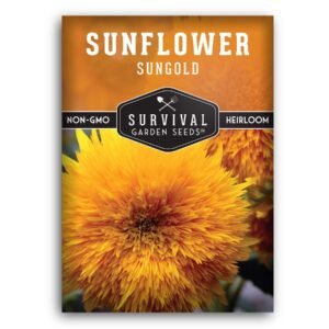 Sungold Teddy Bear Sunflower Seeds – Heirloom Non-GMO Dwarf Pom-Pom Variety for Containers, Borders & Cut Flower Gardens