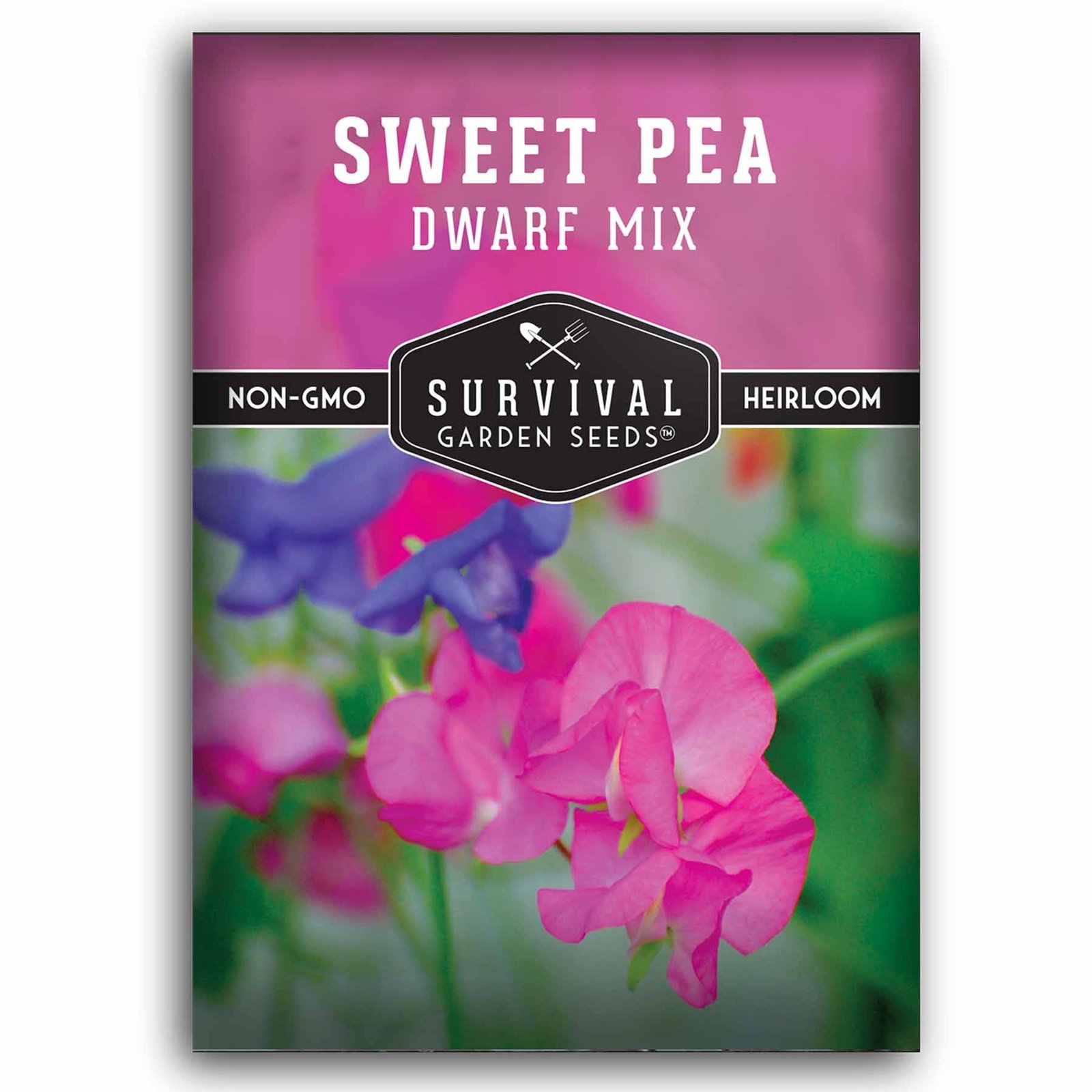 Sweet-pea-Dwarf-Mixed-01.1.jpg