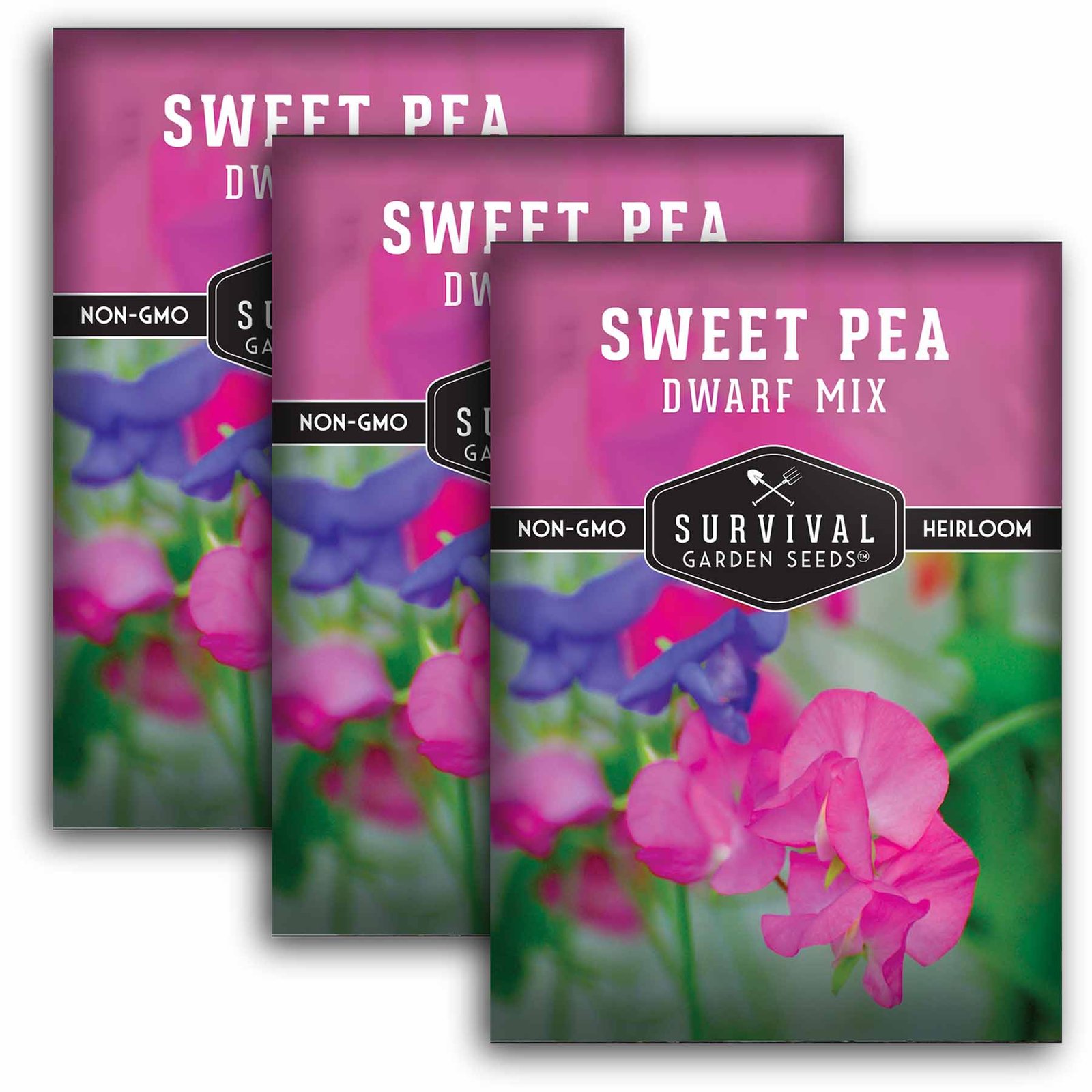 Sweet-pea-Dwarf-Mixed-01.3.jpg