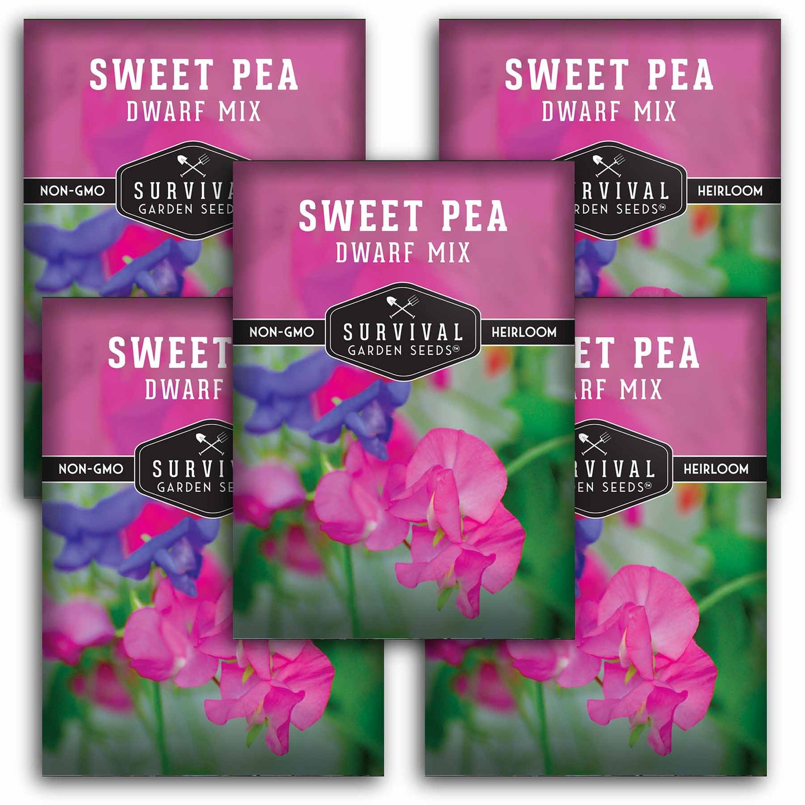 Sweet-pea-Dwarf-Mixed-01.5.jpg