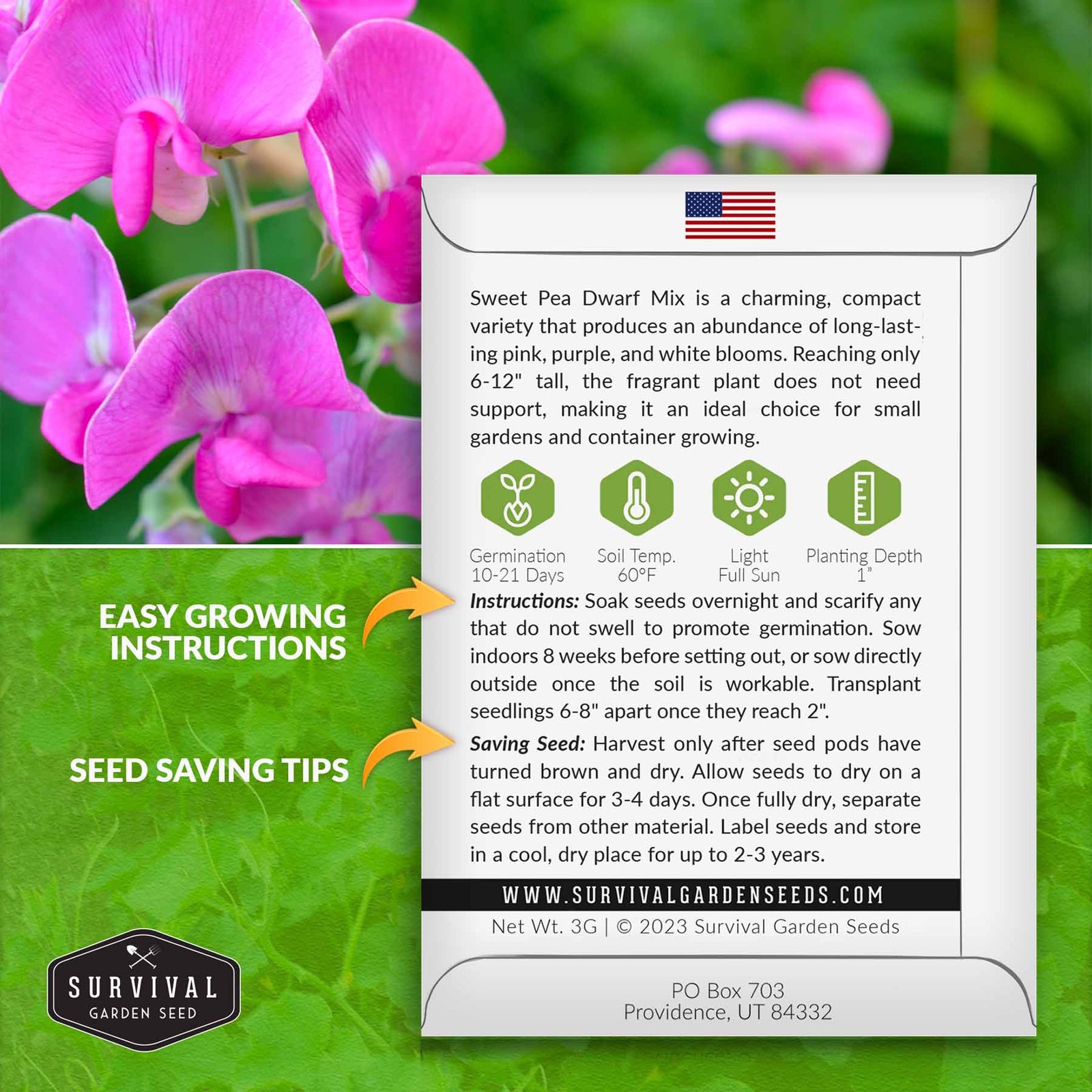 Sweet-pea-Dwarf-Mixed-02.jpg