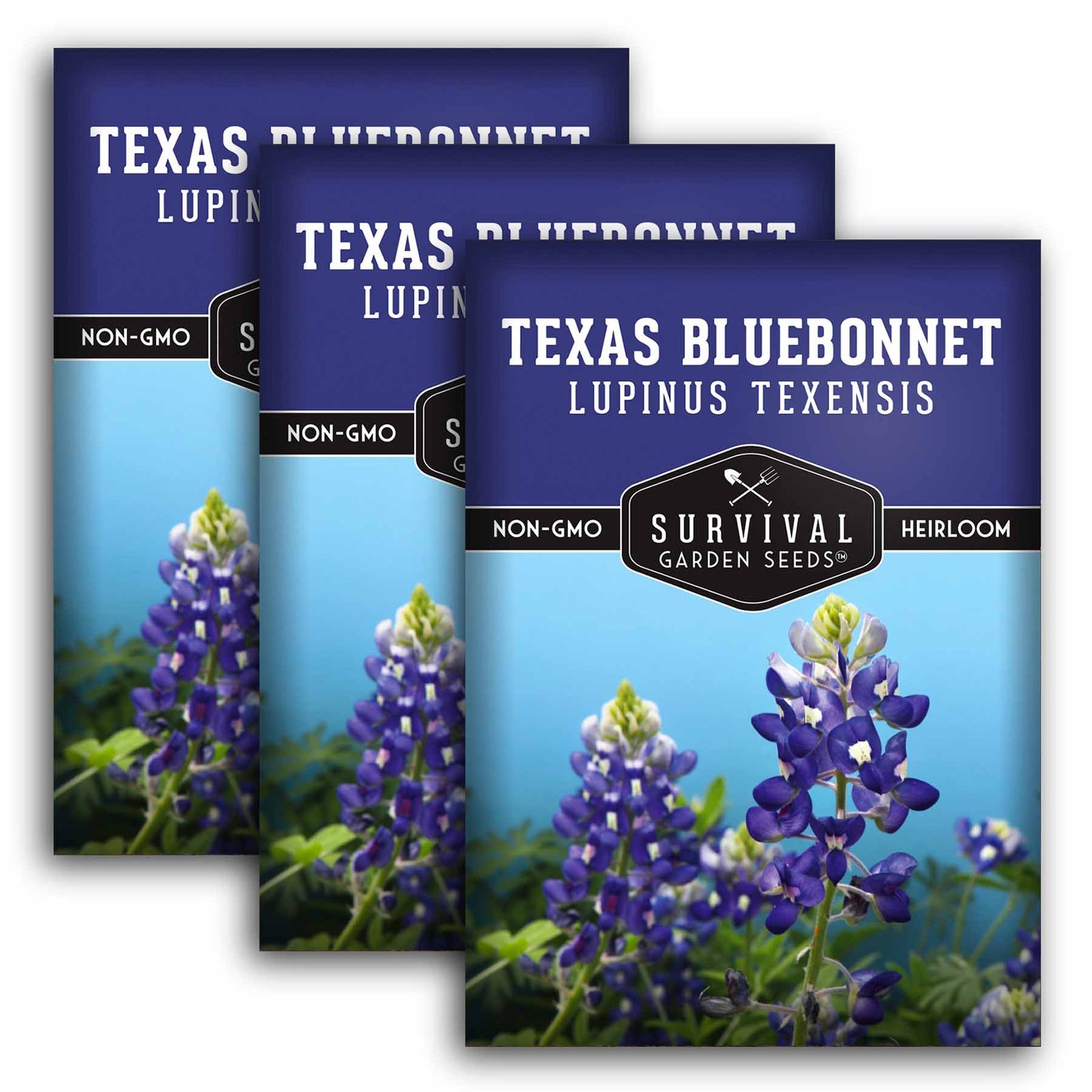 Texas-Bluebonnet-01.3.jpg
